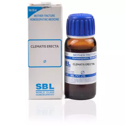 SBL Clerodendron Infort 1X (Q) (30ml)