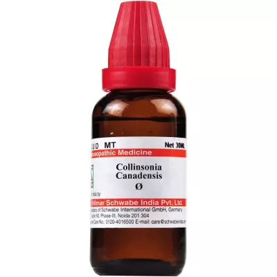 Willmar Schwabe India Colocynthis 1X (Q) (30ml)